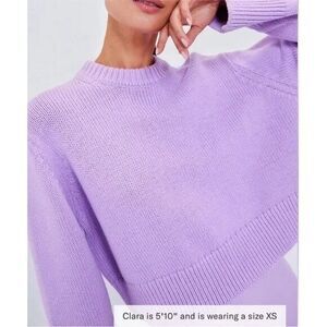 Tuckernuck NEW Lilac Aiden Sweater Cropped medium Crew Neck